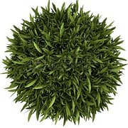 jardines verticales artificiales jardines verticales artificiales
