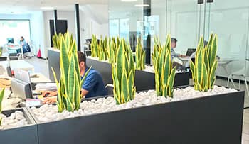 Jardin artificial en oficina