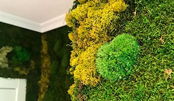 Jardin vertical en zona Bernabeu