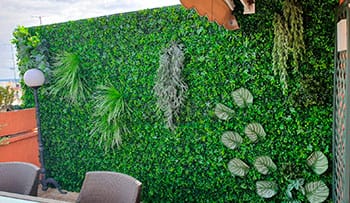 jardin vertical en goya