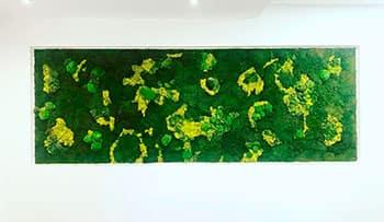 Jardin vertical en oficina en Madrid