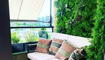 jardin vertical en montecarmelo