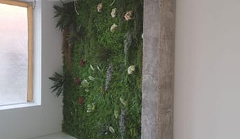 jardin vertical en oficina