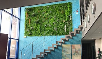 jardin vertical en valencia