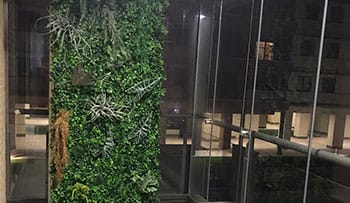 jardin vertical en vallecas