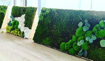 Jardin vertical en Aeropuerto de Alicante - Elche