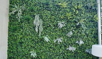 Jardin vertical en Boadilla del Monte