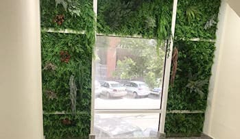 Jardin vertical en Torrejon de Ardoz