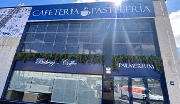 Decoración con Plantas Artificiales PALMERIUM