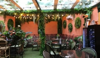Jardín vertical en bar cerca del Paseo del Prado