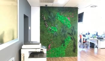 Jardín vertical en oficinas en Valencia
